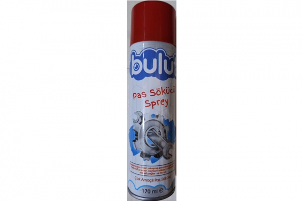 BULUT PAS SÖKÜCÜ 170 ML